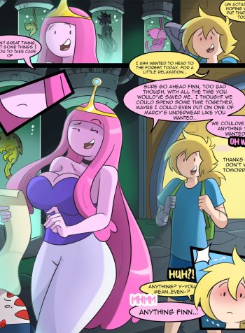 Princess Bubblegum X Finn