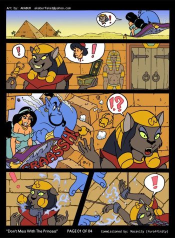 Don’t Mess With the Princess
